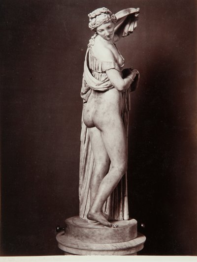 Die Venus Callipigia von Roman