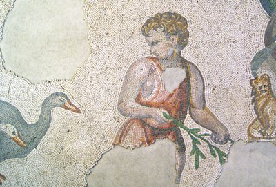 Unbekanntes Bild von Roman