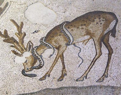 Unbekanntes Bild von Roman
