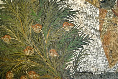 Unbekanntes Bild von Roman