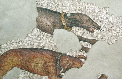 Unbekanntes Bild von Roman