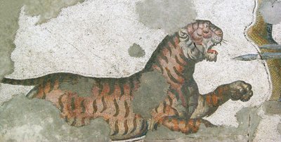 Unbekanntes Bild von Roman