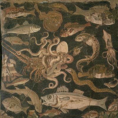 Wassertiere, Kampf zwischen einem Tintenfisch und einem Hummer von Roman