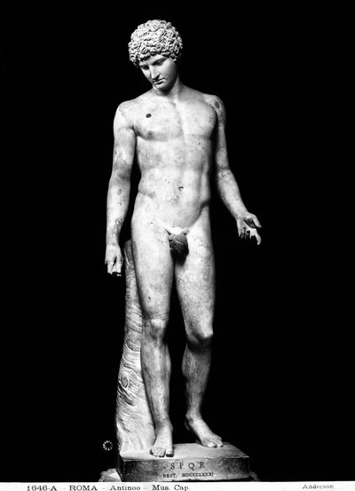 Antinous von Roman Roman