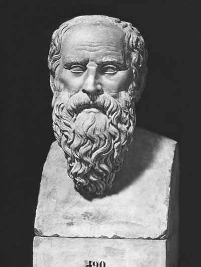 Büste des Diogenes (Marmor) von Roman Roman