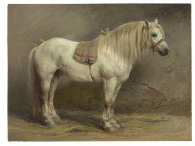 Ein weißes Pferd von Rosa Bonheur