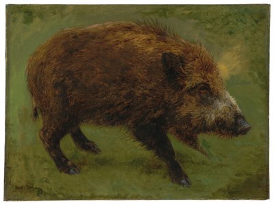 Das Wildschwein von Rosa Bonheur