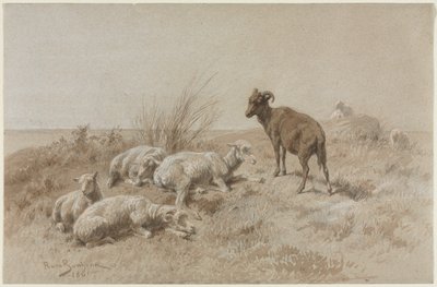Schafe von Rosa Bonheur
