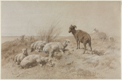 Schafe von Rosa Bonheur