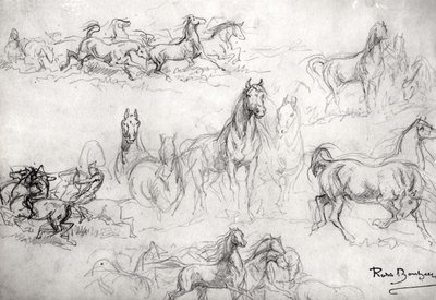 Studie von Pferden von Rosa Bonheur