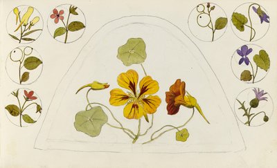 Designs mit Kapuzinerkresse und anderen Blumen von Rosa Brett