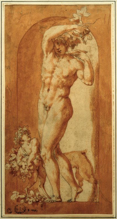 Bacchus in Nische von Rosso Fiorentino