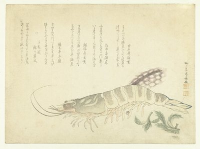 Krebs und Tintenfisch von Ryuryukyo Shinsai
