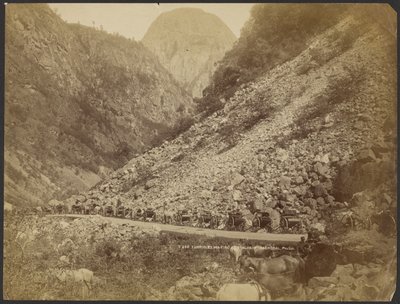 Kutschen warten in Stalheim, Naerödal von S. E. Poulton