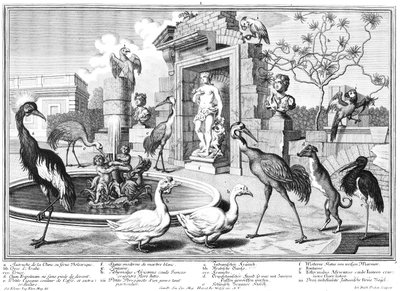 Kraniche und Enten von Salomon Kleiner