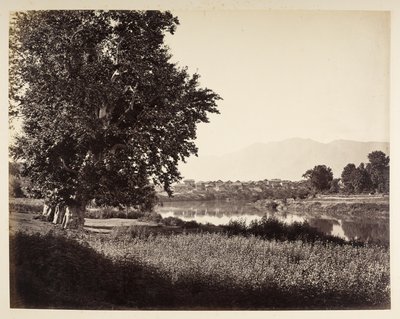 Bij Bihara am Jhelum von Samuel Bourne