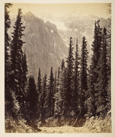 Schneebedeckte Höhen vom Wanga-Tal aus von Samuel Bourne