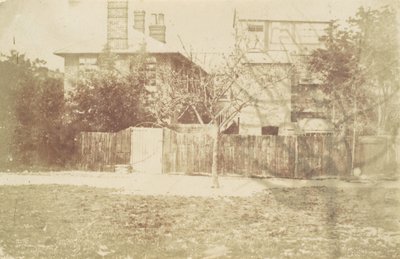 Baum im Hof von Samuel Buckle