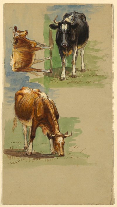 Rinder, Ochsen von Samuel Colman