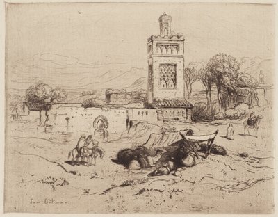 Ruinen einer Moschee, Tlemcen, Algerien von Samuel Colman