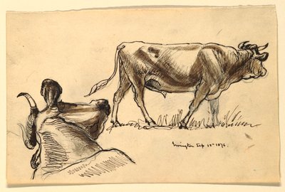 Skizzen von Rindern, Irvington von Samuel Colman