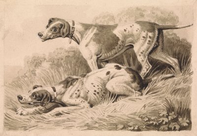 Jagdhunde von Samuel Howitt