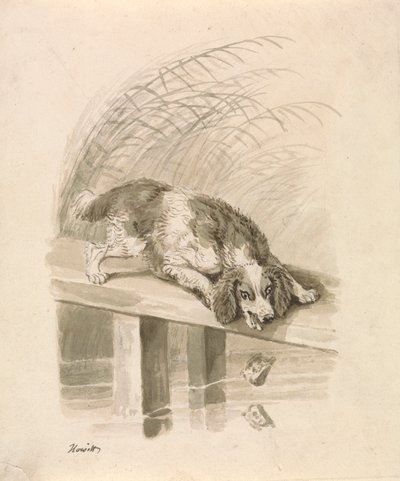 Der Hund und der Schatten von Samuel Howitt