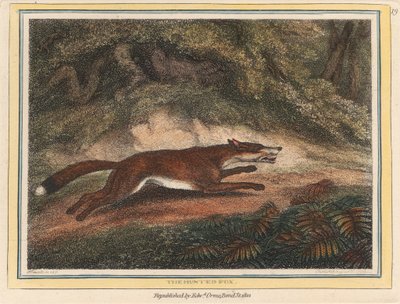 Der gejagte Fuchs von Samuel Howitt