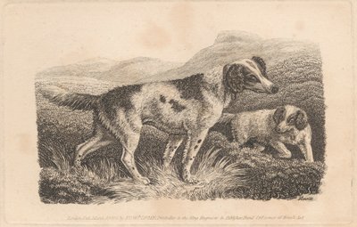 Zwei Hunde von Samuel Howitt