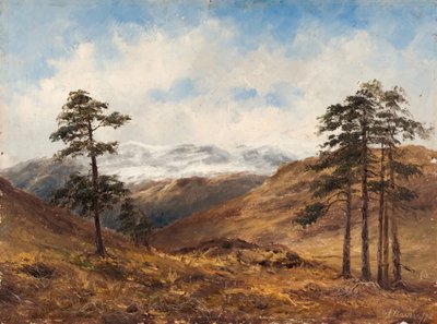 In der Nähe von Balmoral, 1893 von Samuel John Barnes
