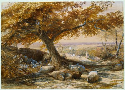 Schafe im Schatten, ca. 1851 von Samuel Palmer