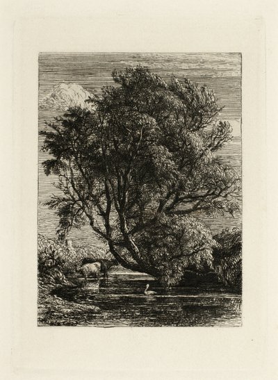 Die Weide von Samuel Palmer