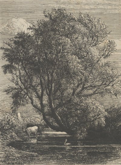 Die Weide, 1850 von Samuel Palmer