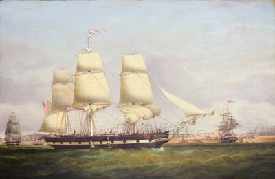 Euphrasia von Samuel Walters