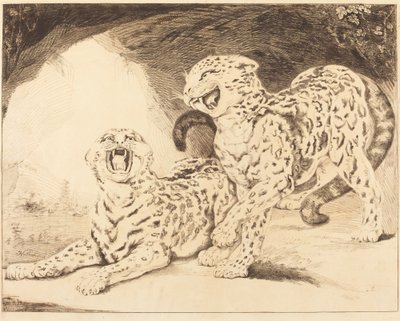 Leoparden von Samuel William Reynolds I after James Northcote