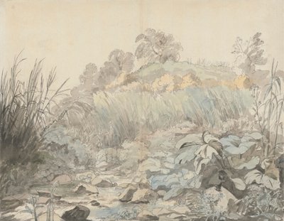 Ein felsiger Bach von Samuel Woodforde
