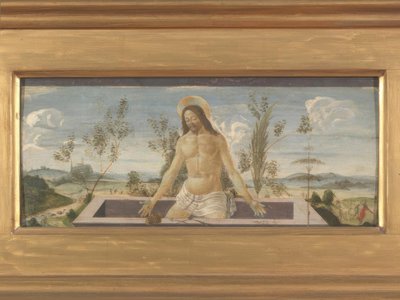Christus im Grabe von Sandro Botticelli