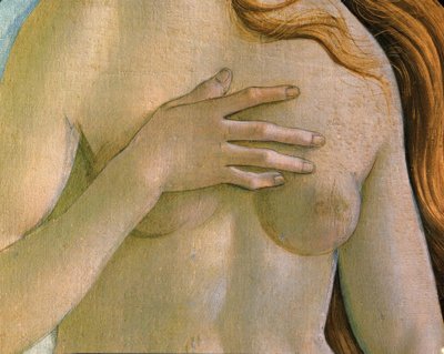 Die Geburt der Venus von Sandro Botticelli