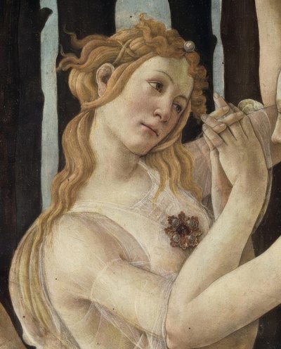 La Primavera von Sandro Botticelli