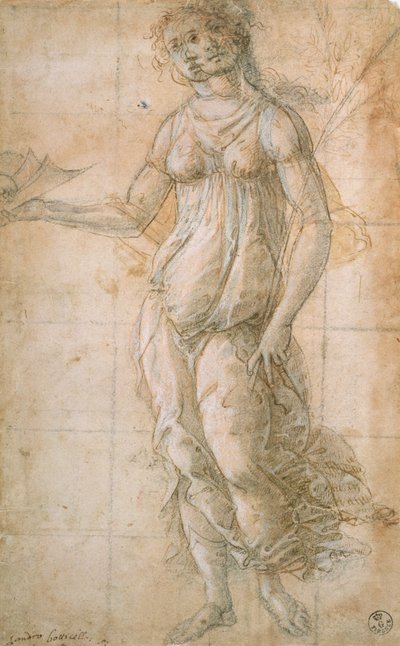 Studie von Athene von Sandro Botticelli
