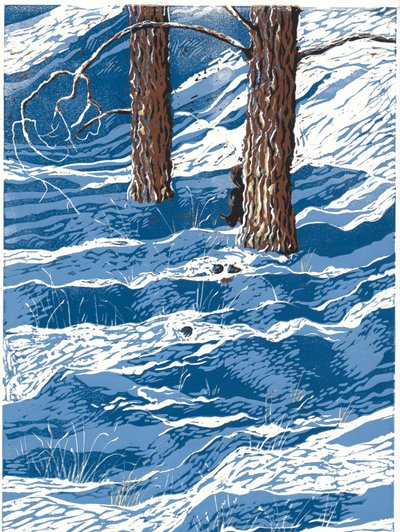 Frühlingsschneefall, 2016 von Sarah Drummond