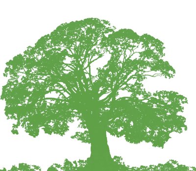Kletterbaum, 2009 von Sarah Hough