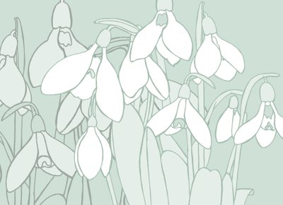 Schneeglöckchen von Sarah Hough