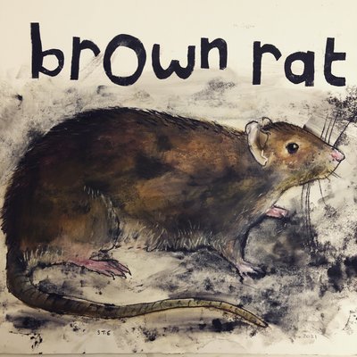 Braune Ratte von Sarah Thompson Engels