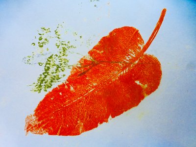 Orangenes Blatt von Sarah Thompson Engels