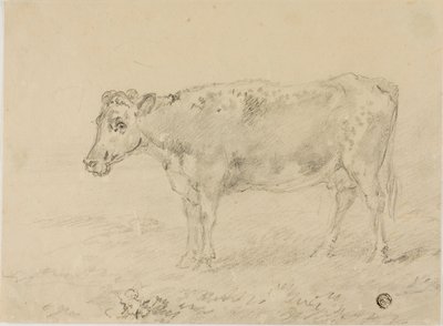Kuh von Sawrey Gilpin