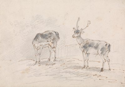 Reh und Hirsch von Sawrey Gilpin