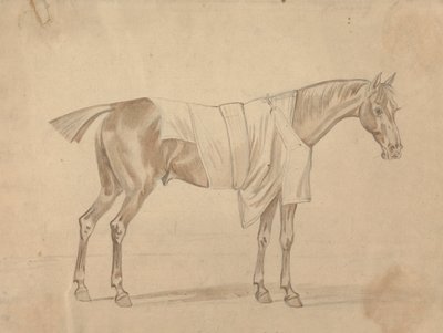 Pferd in Decke gekleidet von Sawrey Gilpin