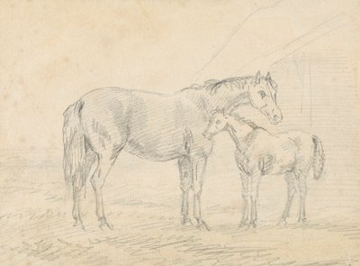 Stute mit Fohlen von Sawrey Gilpin