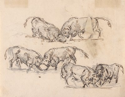 Studien des Stierkampfs von Sawrey Gilpin